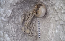 Infant skeleton